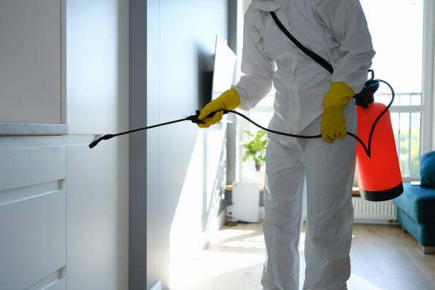 Attic Mold Removal in St James City, FL